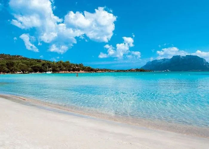 Lungomare 招待所 4*